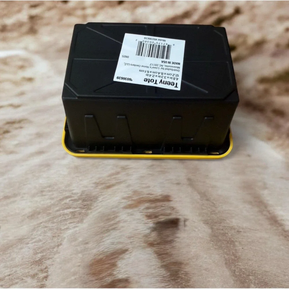 Lowe's Teeny Tote Mini Storage Container - Viral‎ On Tiktok - Set Of 2